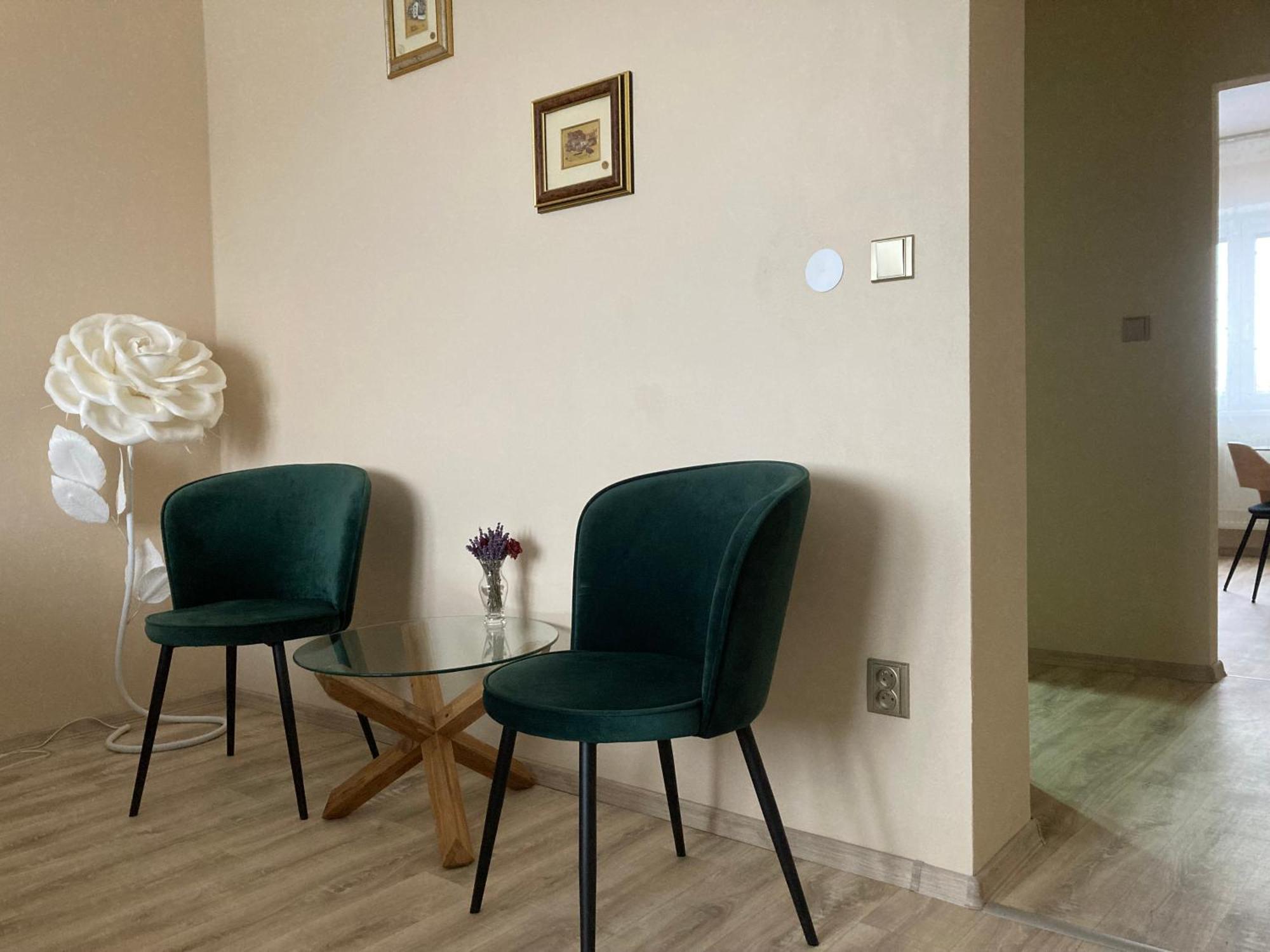 Apartment In The Garden Drzovice Esterno foto